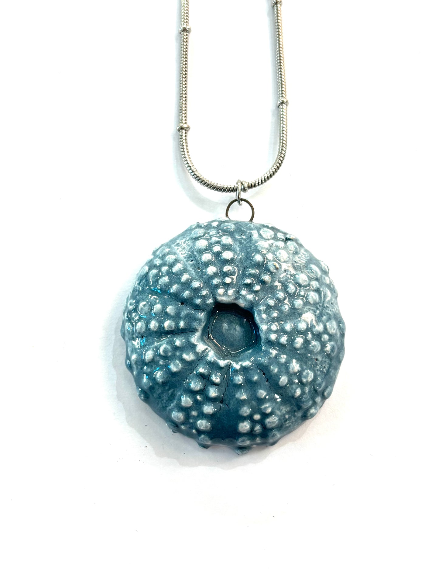 Collar de Erizo plano