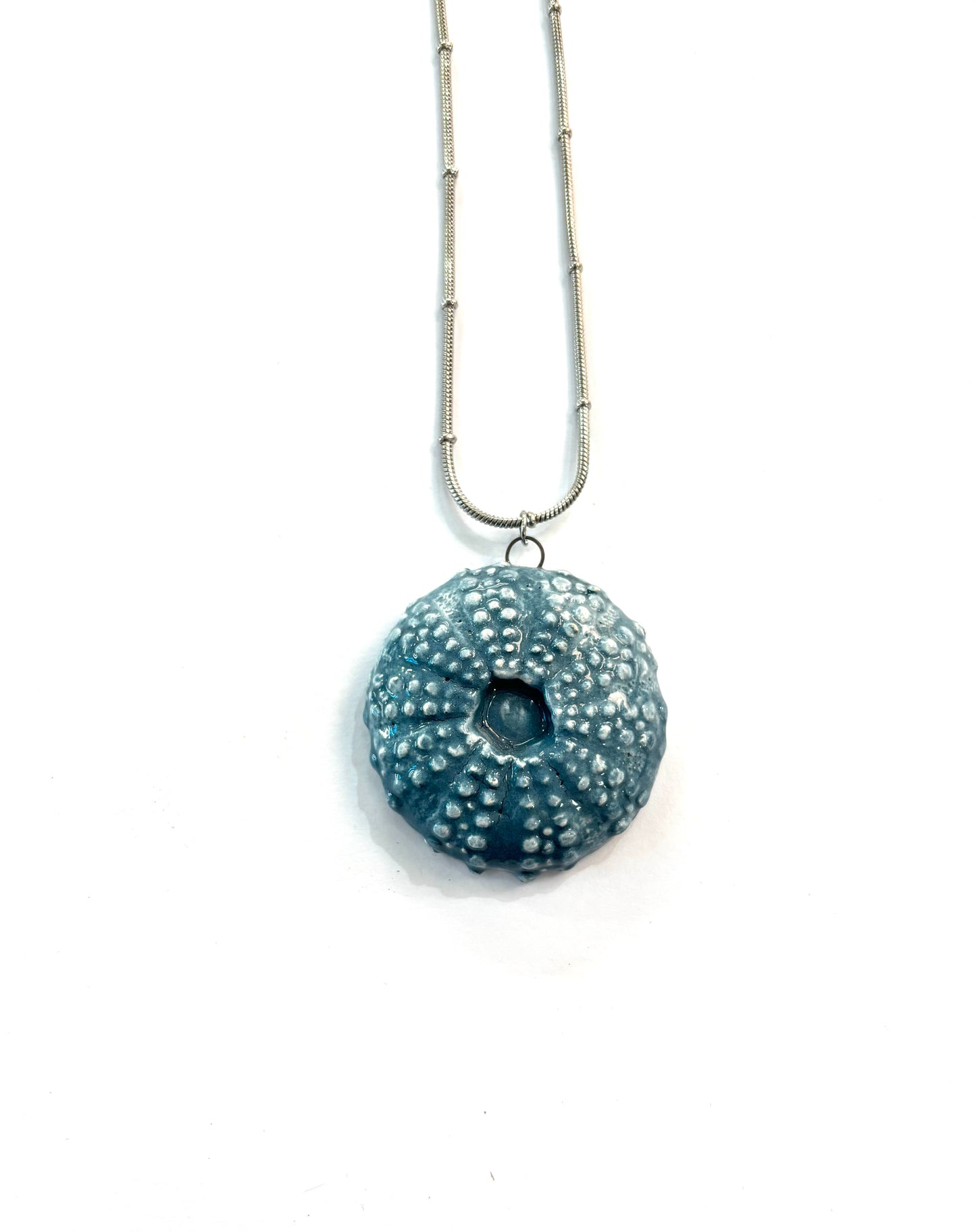 Collar de Erizo plano