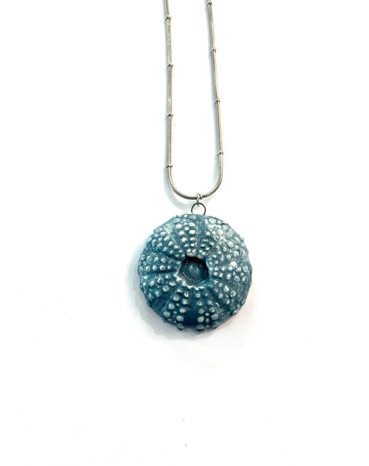 Collar de Erizo plano