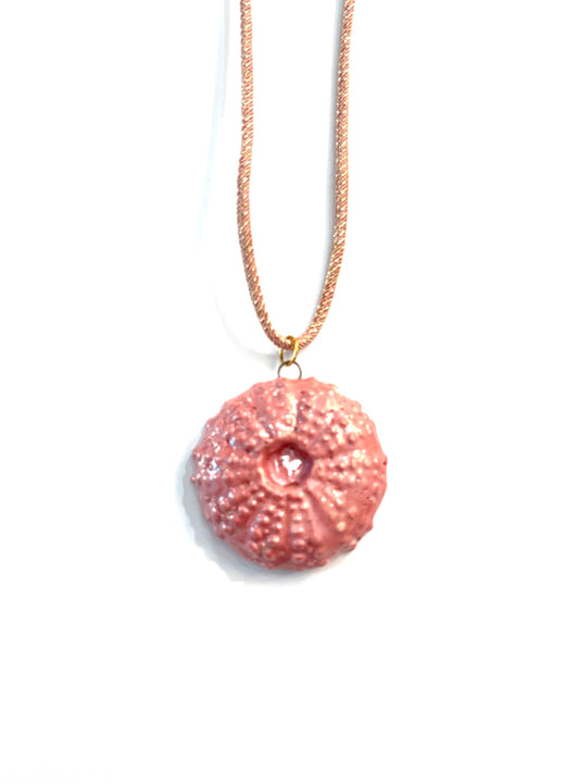 Collar de Erizo plano