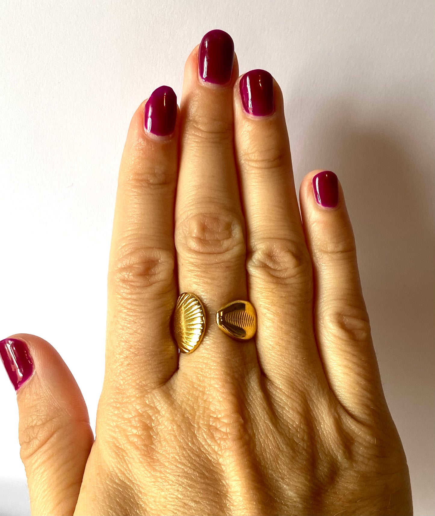 Anillo doble concha