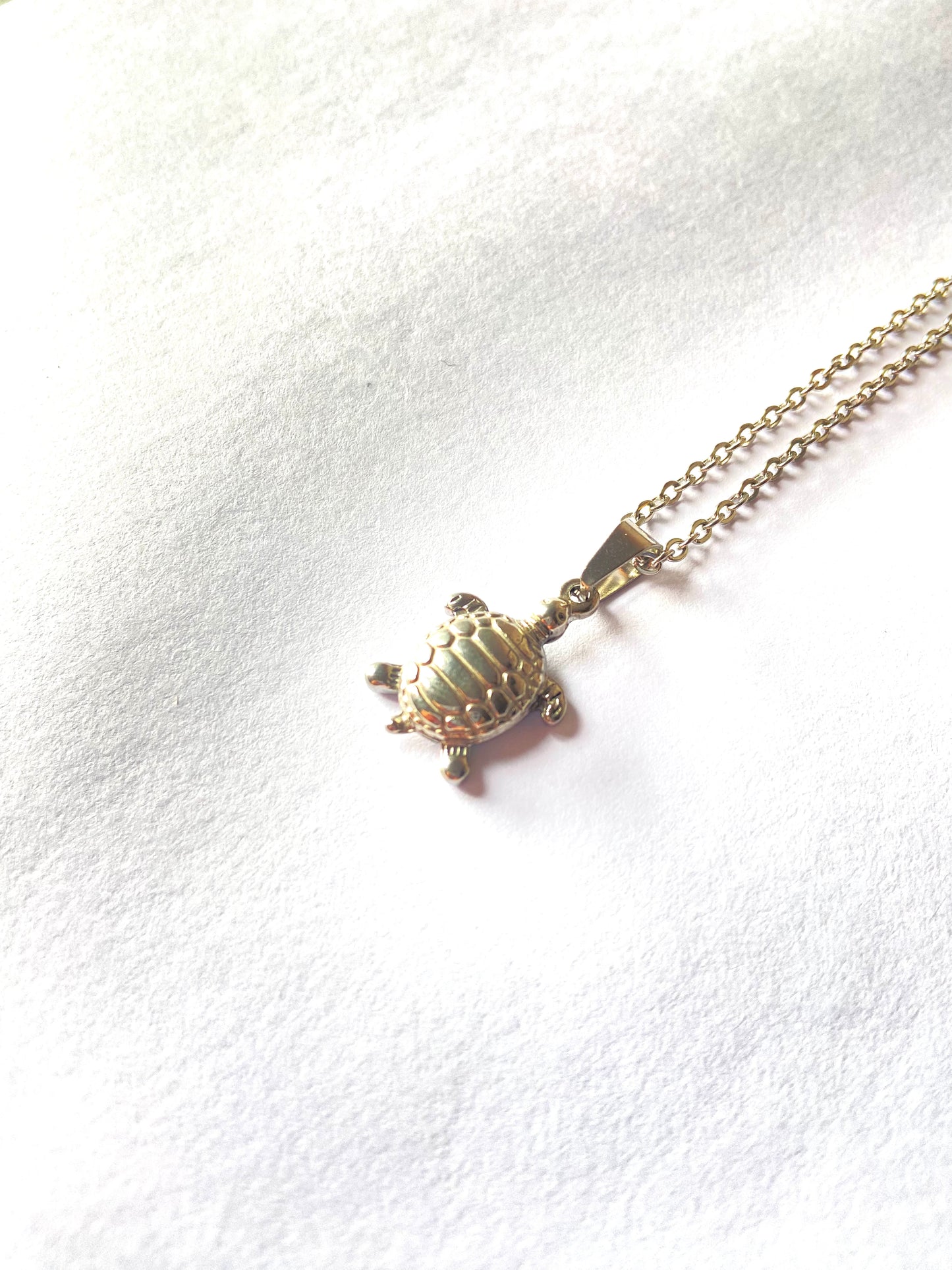 Collar de Tortuga