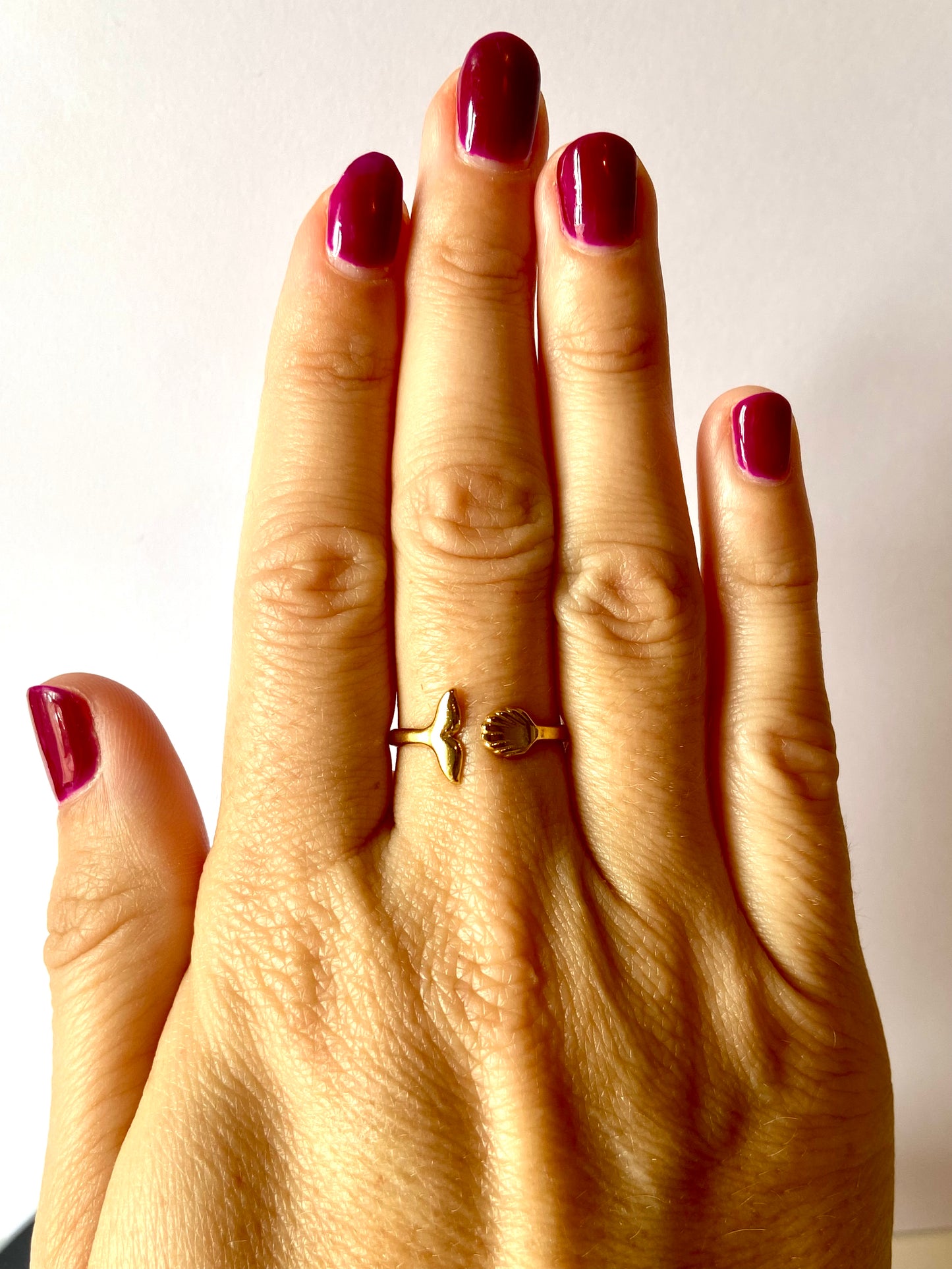 Anillo cola de ballena y concha mini