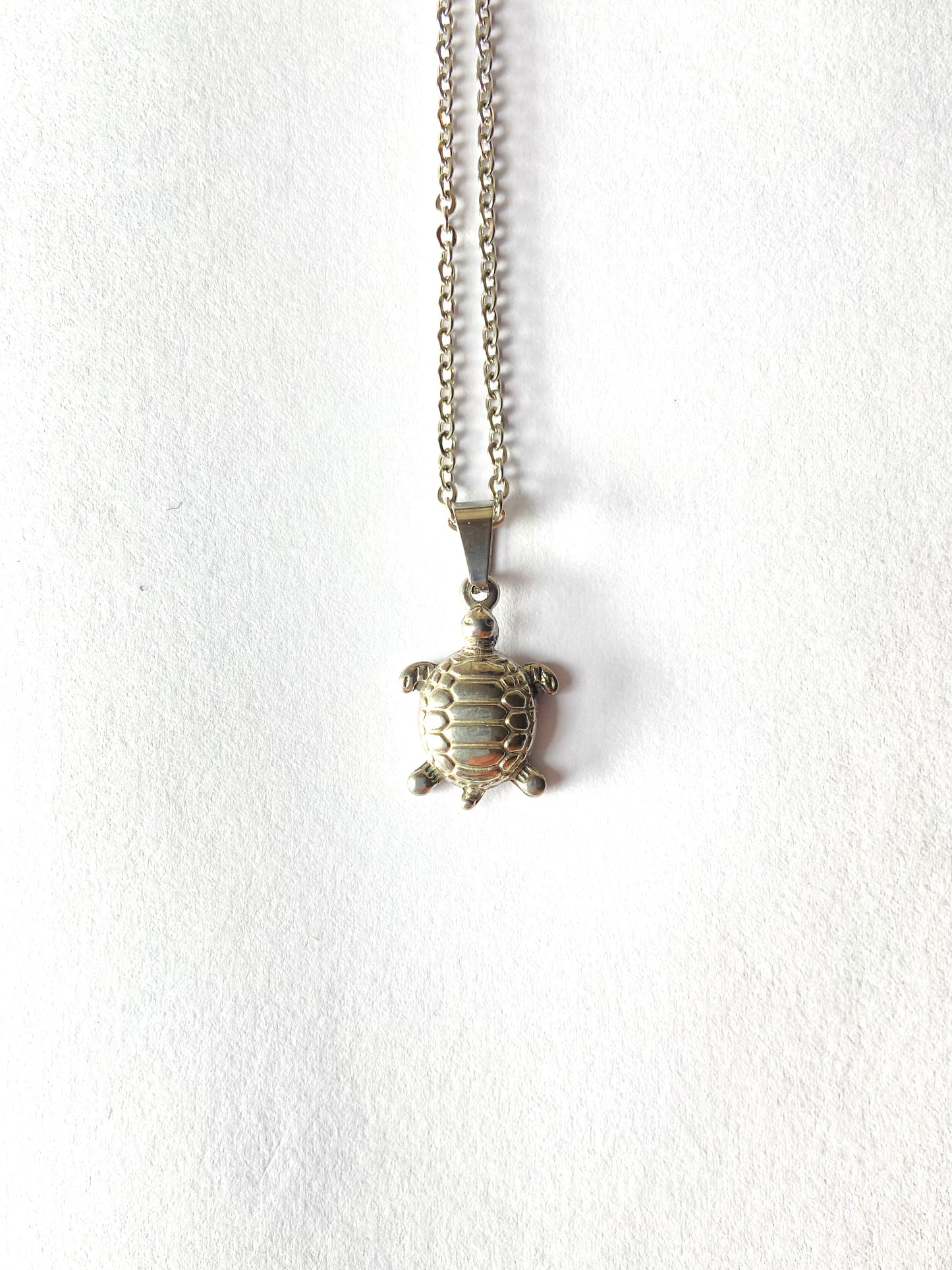 Collar de Tortuga