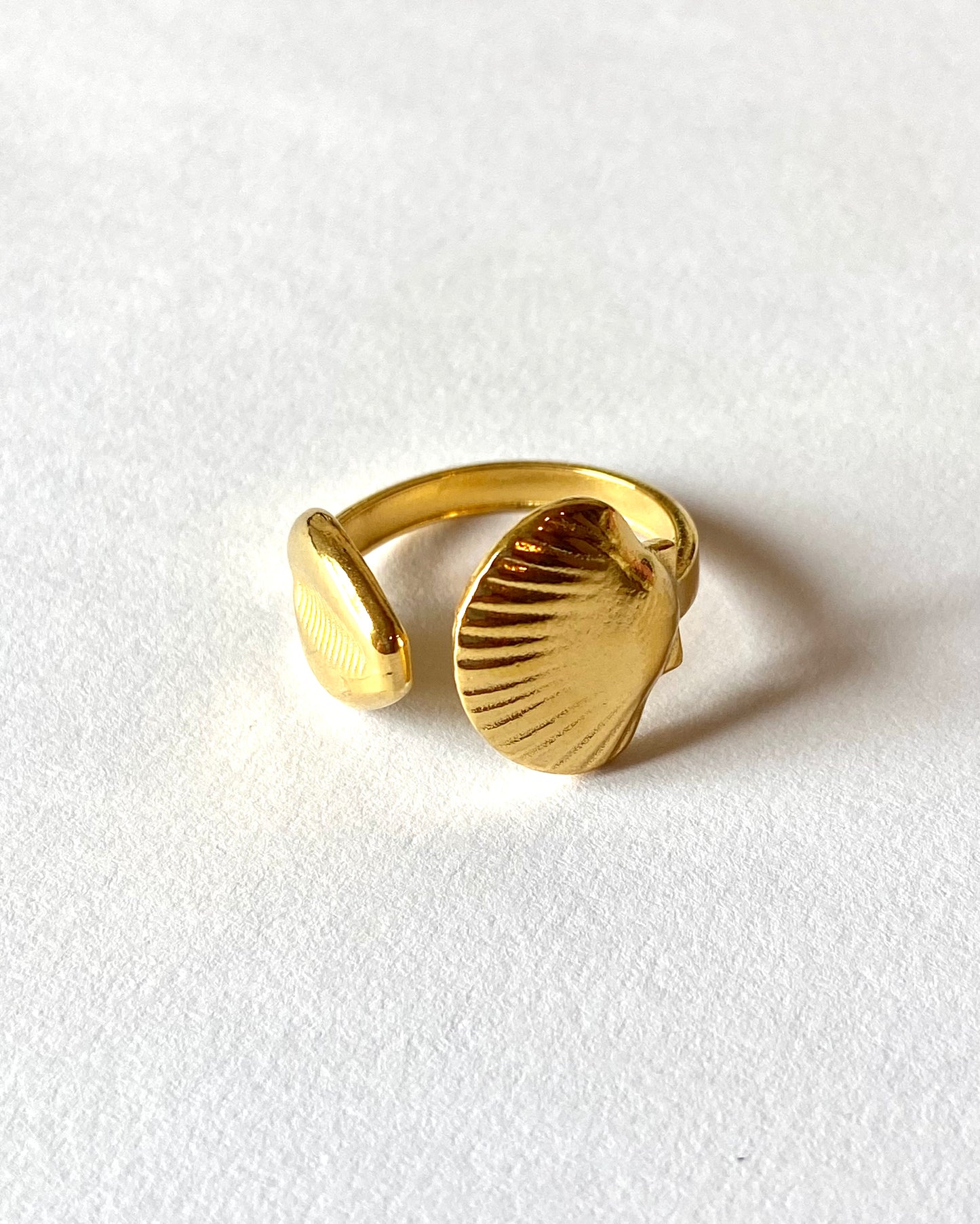 Anillo doble concha