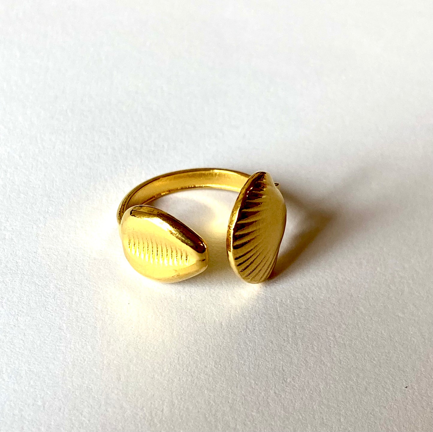 Anillo doble concha