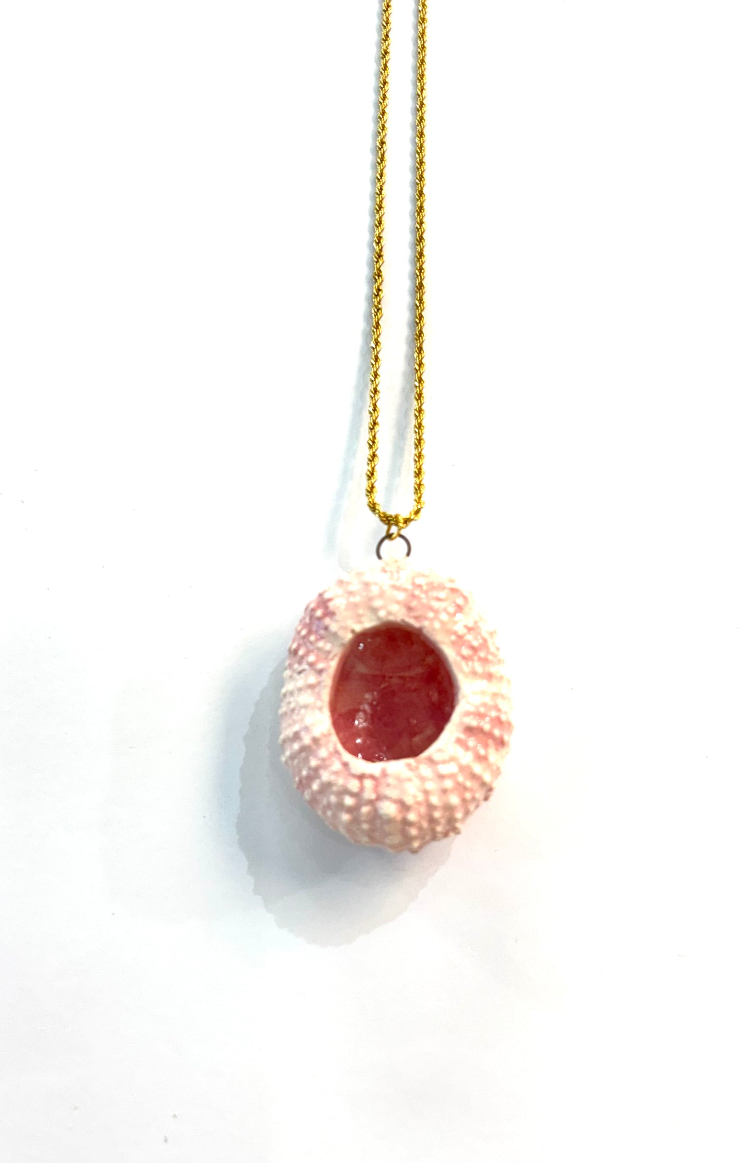 Collar erizo molde cerámica