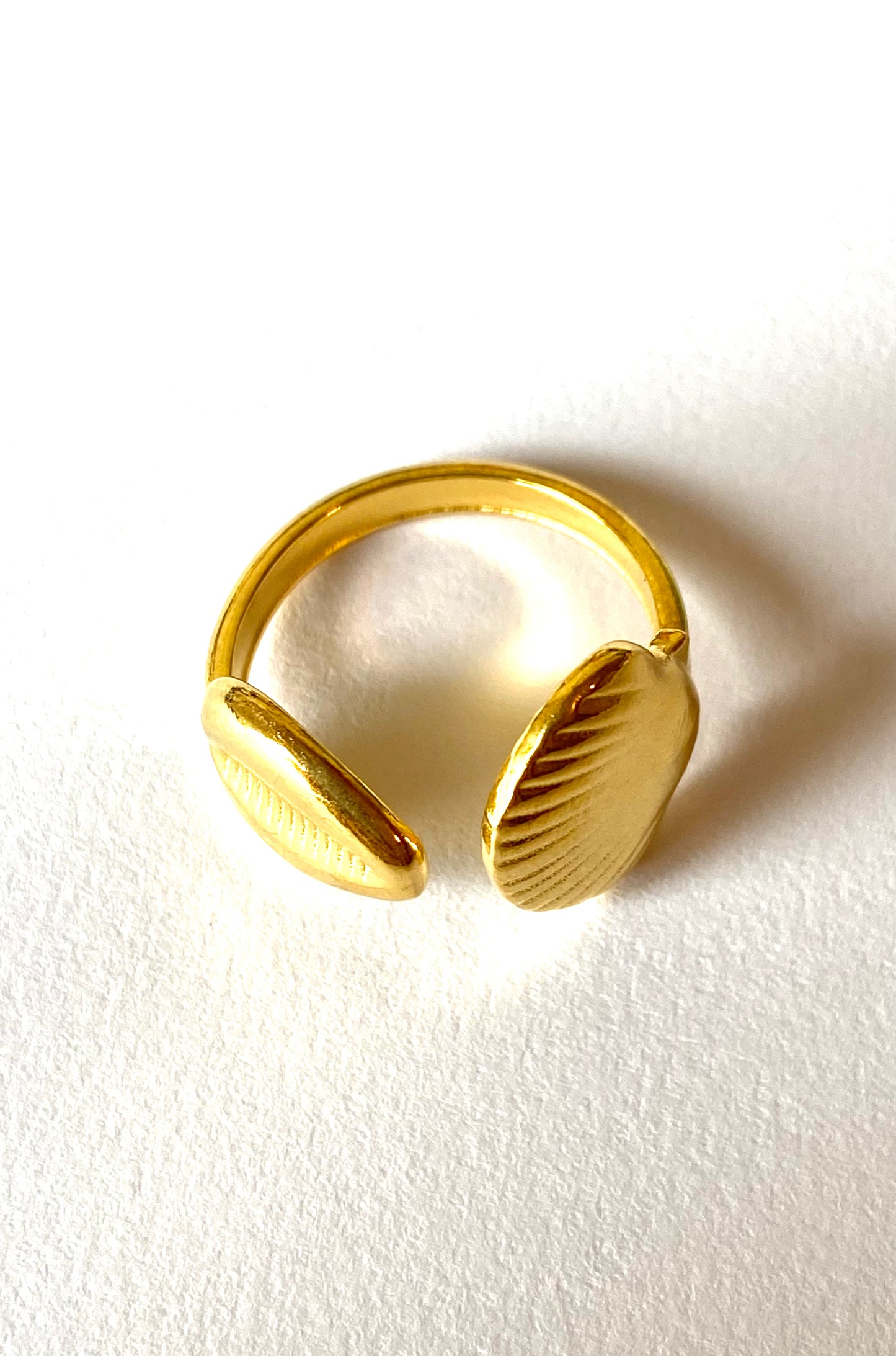Anillo doble concha