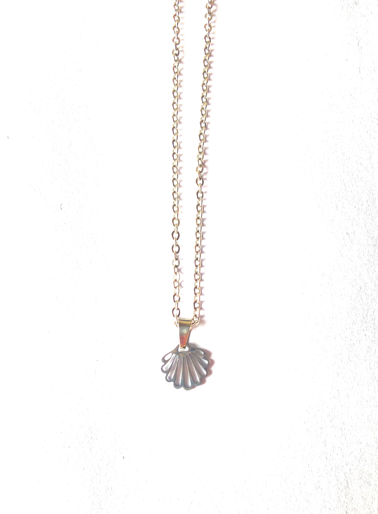 Collar Concha plana mini