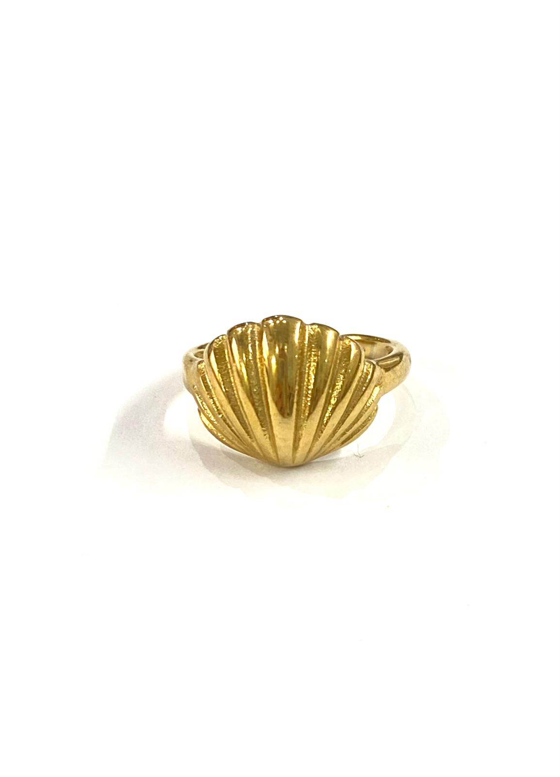 Anillo concha grande