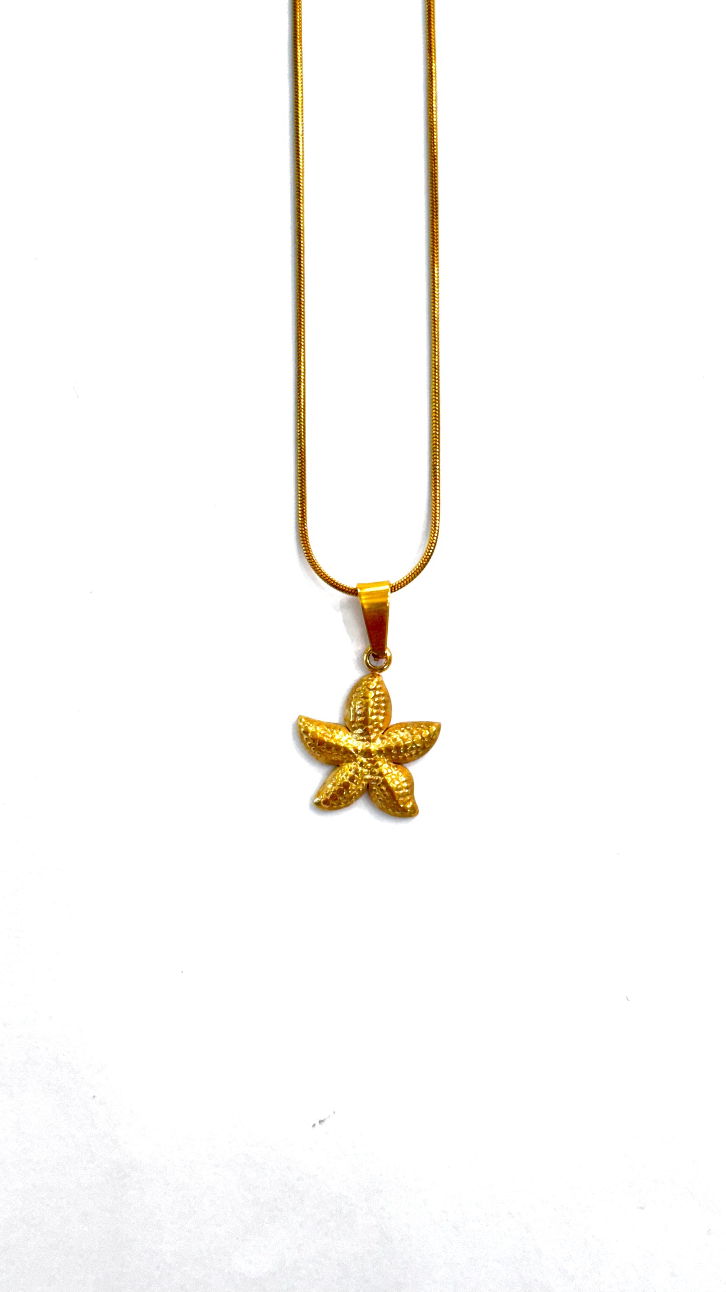 Collar Estrella de Mar relieve