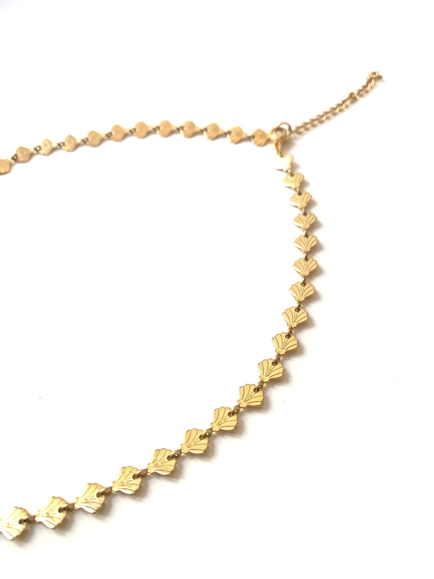 Choker conchas planas