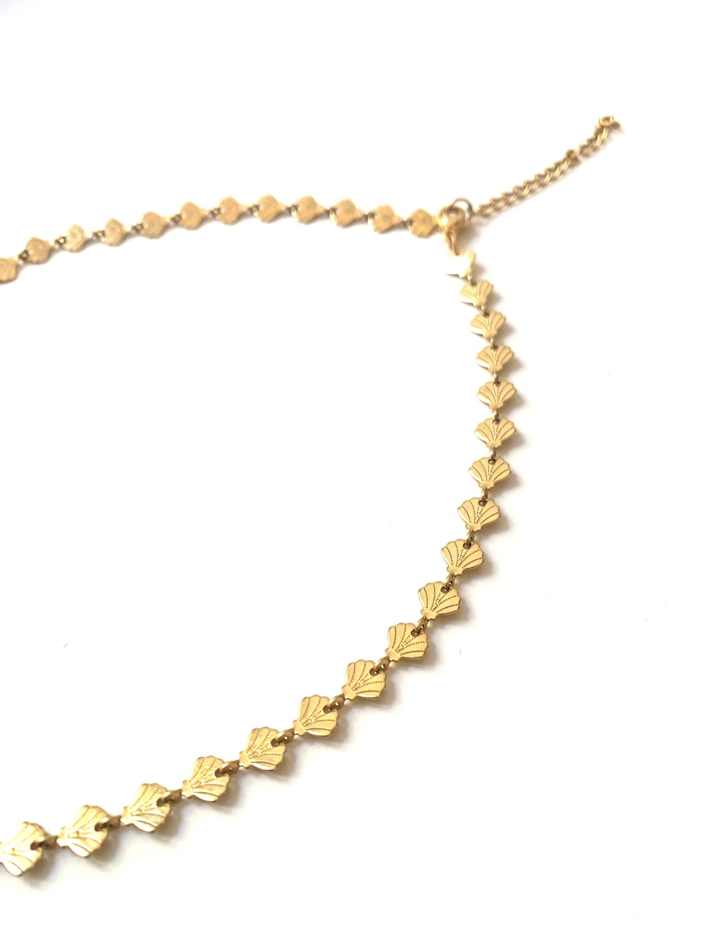Choker conchas planas