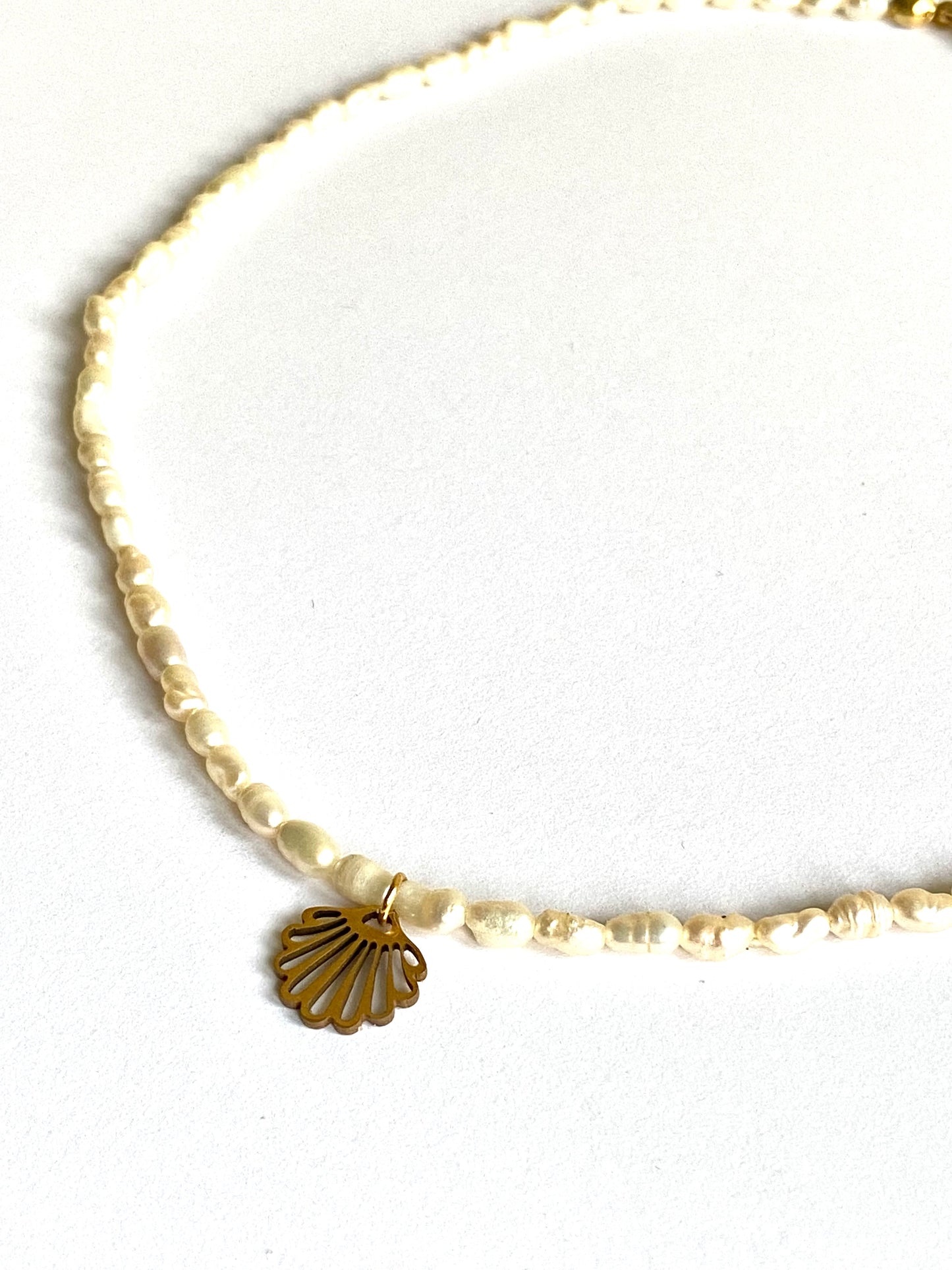 Choker de Perlas con Concha