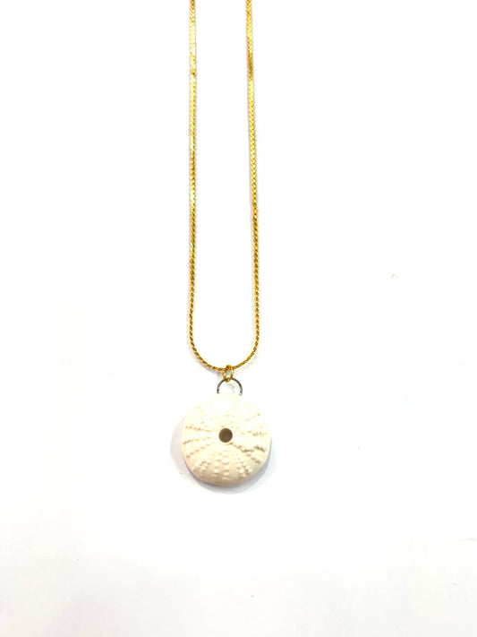 Collar concha erizo mini Mar