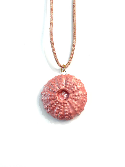 Collar de Erizo plano