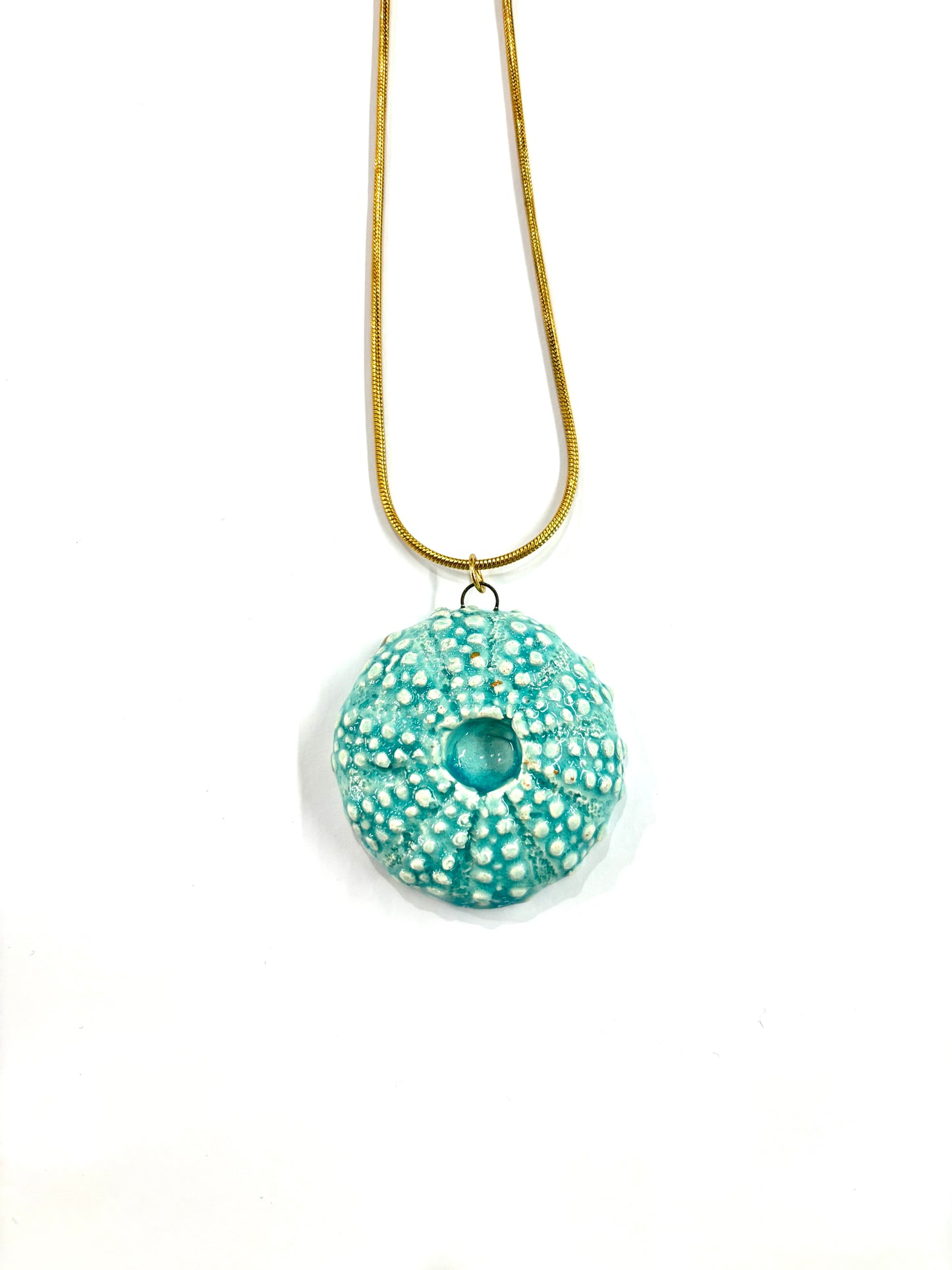 Collar de Erizo plano