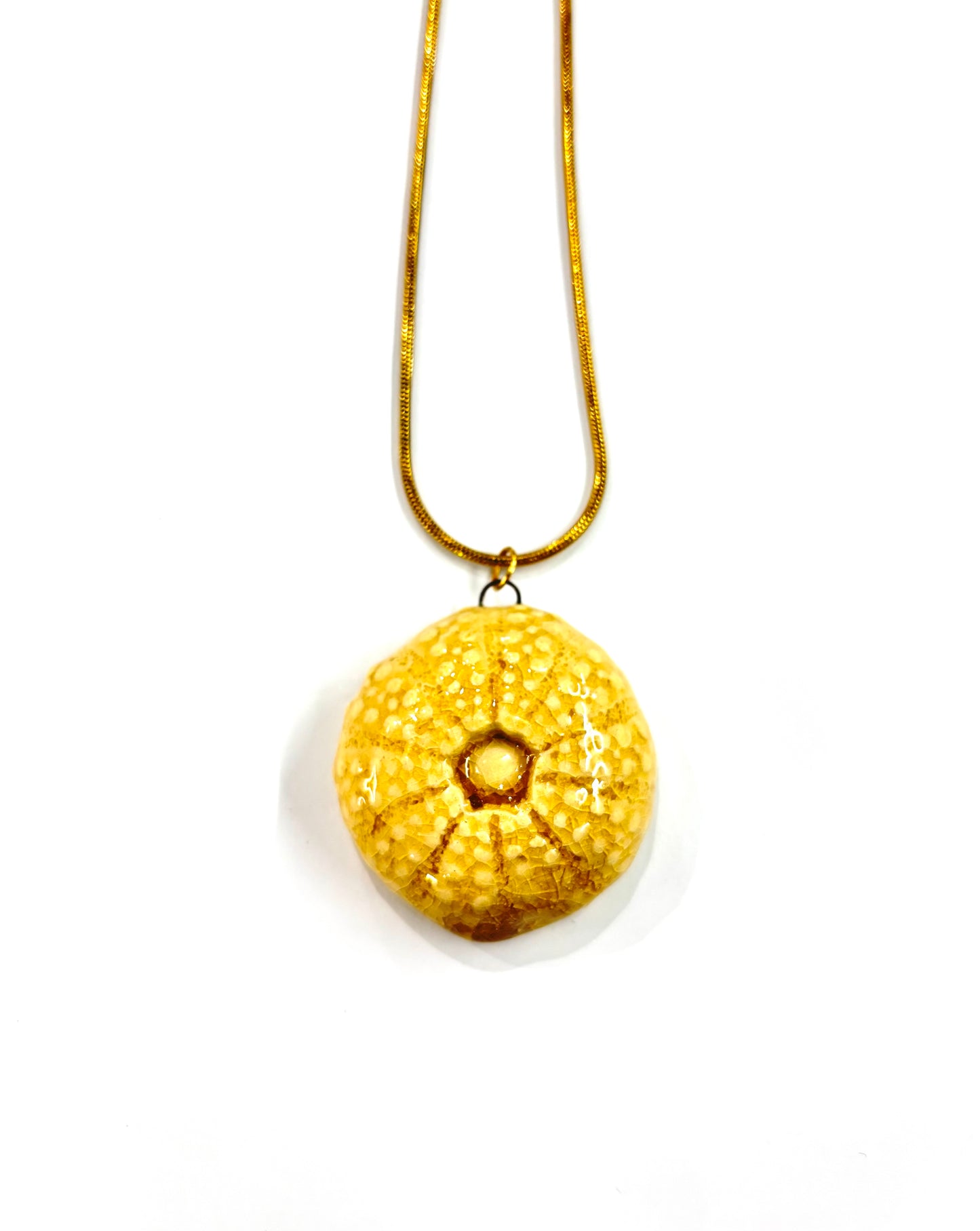 Collar de Erizo plano