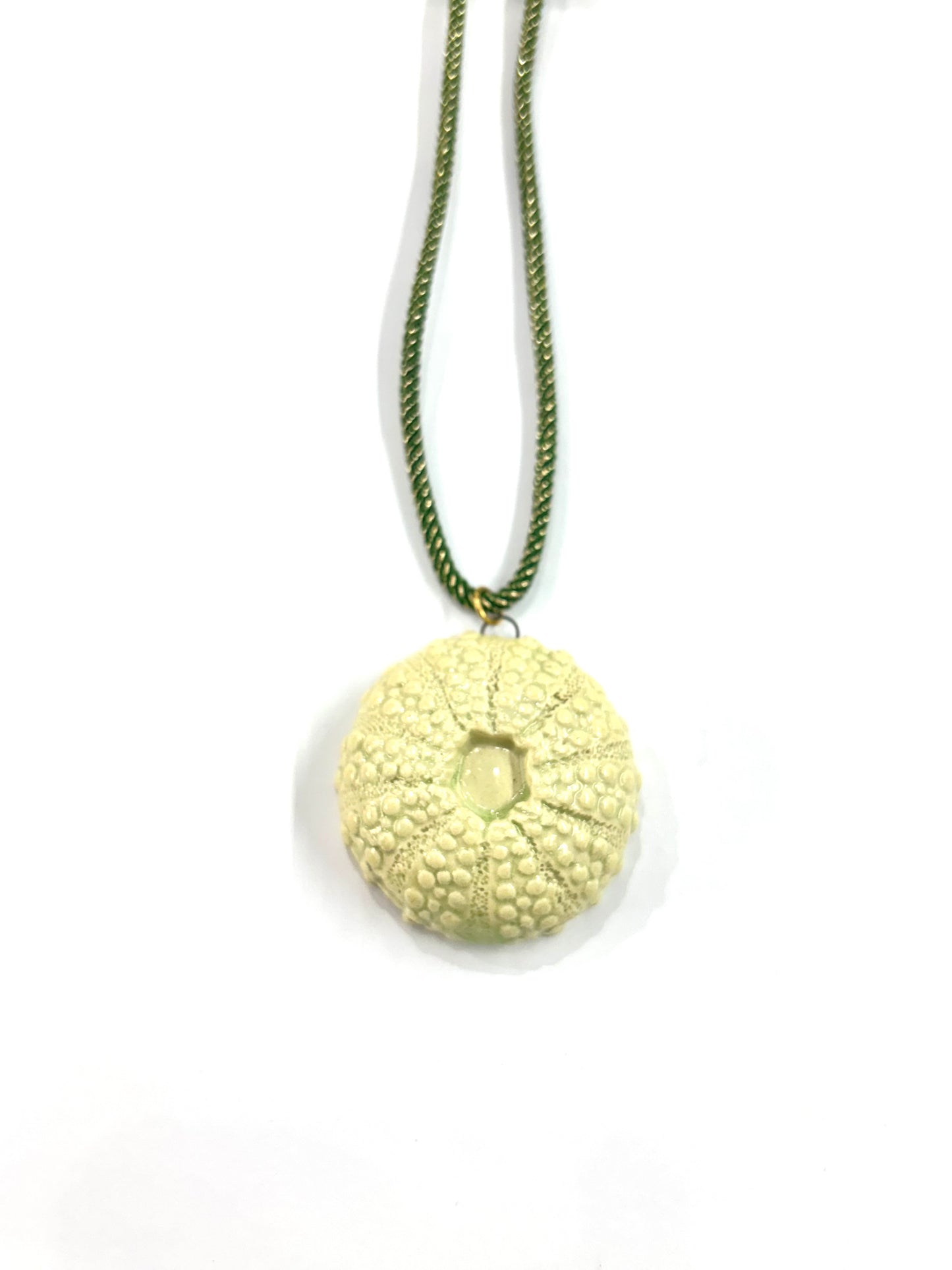 Collar de Erizo plano