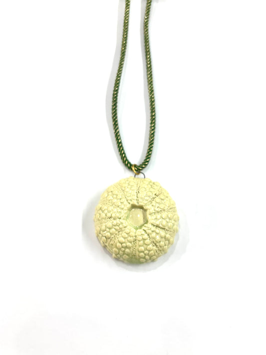 Collar de Erizo plano