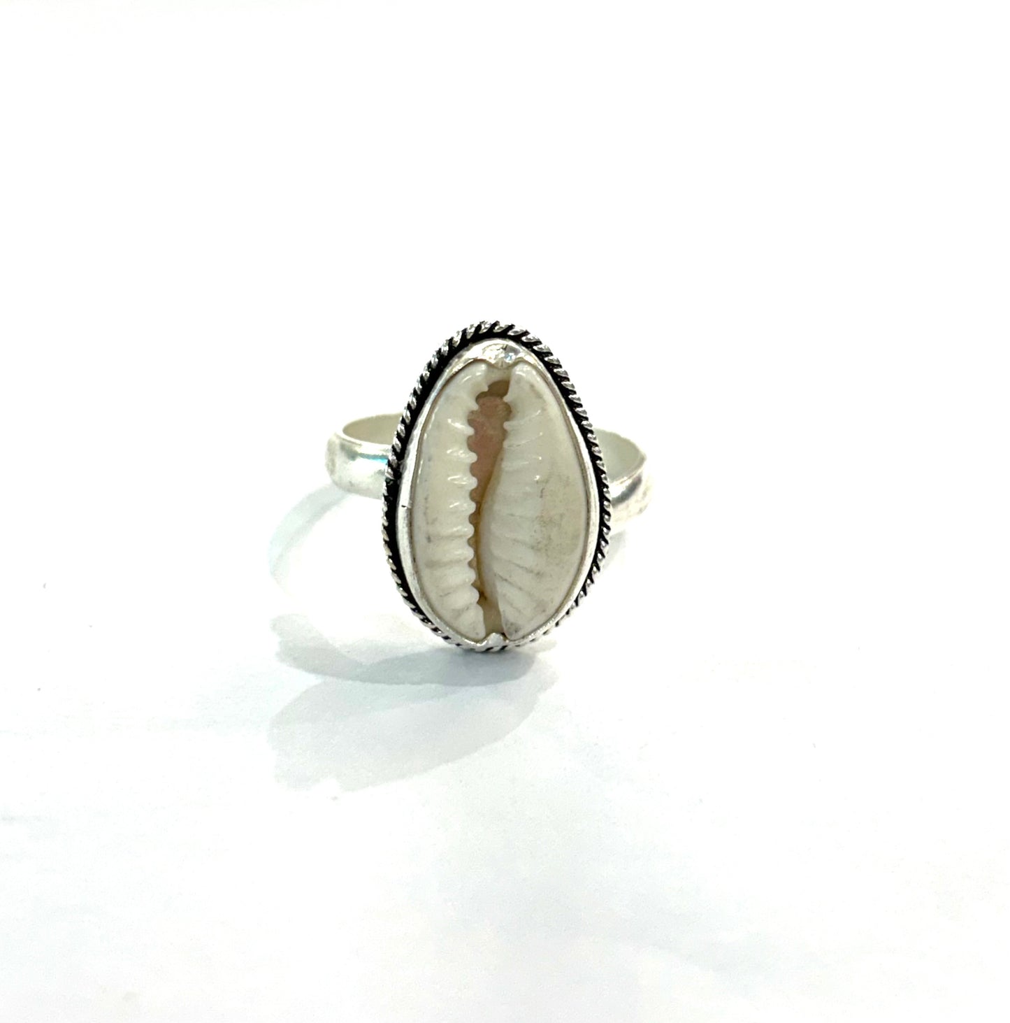 Anillo concha de mar