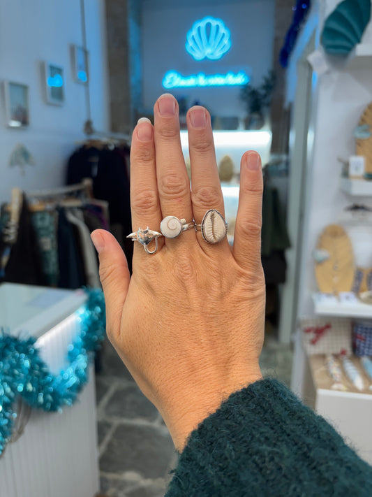 Anillo concha de mar