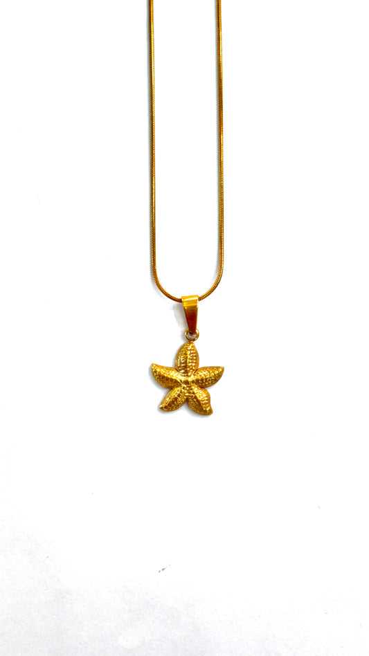 Collar Estrella de Mar relieve
